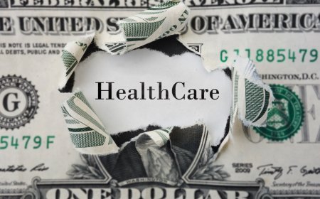 The Financialization of Healthcare: A Comprehensive Analysis of Its Rise, Impacts, and Contested Future