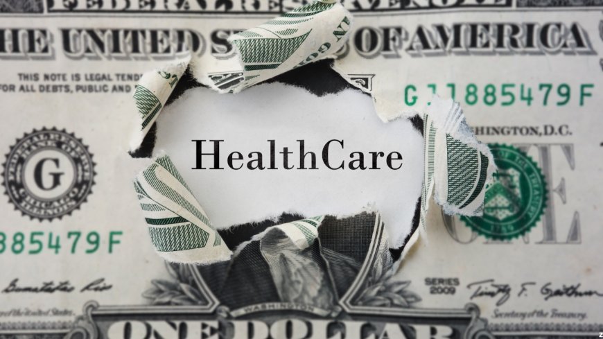 The Financialization of Healthcare: A Comprehensive Analysis of Its Rise, Impacts, and Contested Future